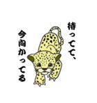 小ヒョウのジャム（個別スタンプ：36）