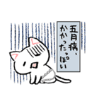 季節のねこぱんつ上半期（個別スタンプ：33）