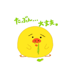 ピヨピーだよ その2（個別スタンプ：2）