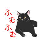 ねこの仕草あれこれ（個別スタンプ：11）