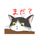 ねこの仕草あれこれ（個別スタンプ：29）