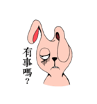 The Black Eyed Rabbit（個別スタンプ：29）