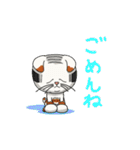 三毛猫くもり（個別スタンプ：8）