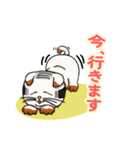 三毛猫くもり（個別スタンプ：17）