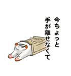 三毛猫くもり（個別スタンプ：28）