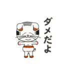 三毛猫くもり（個別スタンプ：40）