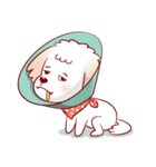 Soba ＆ The Gang（個別スタンプ：14）