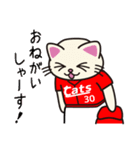 ねこプロ野球・猫島キャッツ（個別スタンプ：12）