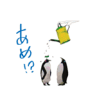 SULEBOX vol.1（個別スタンプ：3）