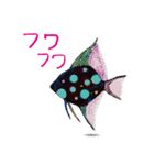 SULEBOX vol.1（個別スタンプ：4）