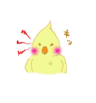 オカメインコちゃんと一緒（個別スタンプ：14）