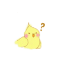 オカメインコちゃんと一緒（個別スタンプ：16）