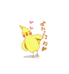 オカメインコちゃんと一緒（個別スタンプ：17）