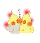 オカメインコちゃんと一緒（個別スタンプ：31）