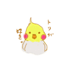 オカメインコちゃんと一緒（個別スタンプ：40）