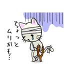 包帯ねこ（個別スタンプ：10）