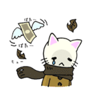 包帯ねこ（個別スタンプ：18）
