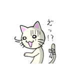 包帯ねこ（個別スタンプ：22）