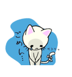 包帯ねこ（個別スタンプ：24）