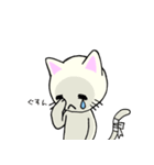 包帯ねこ（個別スタンプ：25）