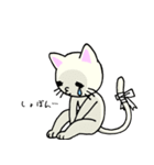 包帯ねこ（個別スタンプ：32）