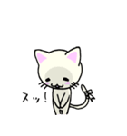 包帯ねこ（個別スタンプ：36）