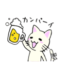 包帯ねこ（個別スタンプ：40）