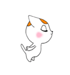 オレンジとハチワレ（個別スタンプ：1）