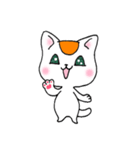 オレンジとハチワレ（個別スタンプ：25）