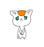 オレンジとハチワレ（個別スタンプ：29）