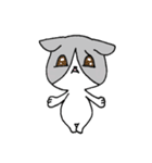 オレンジとハチワレ（個別スタンプ：30）