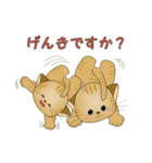 癒しのにゃんこ（個別スタンプ：18）