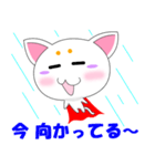 マロねこ（個別スタンプ：36）