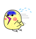 ぴよぴよーぴよ（個別スタンプ：2）