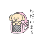 トイプーベビちゃん（個別スタンプ：6）