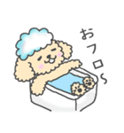 トイプーベビちゃん（個別スタンプ：8）