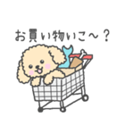 トイプーベビちゃん（個別スタンプ：16）