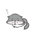 ふぅにゃんこ（個別スタンプ：9）
