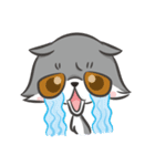 ふぅにゃんこ（個別スタンプ：12）