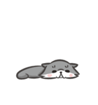 ふぅにゃんこ（個別スタンプ：24）