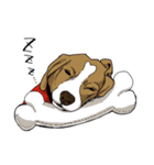 いぬ人間（個別スタンプ：5）