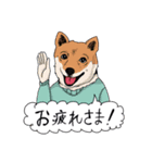 いぬ人間（個別スタンプ：25）