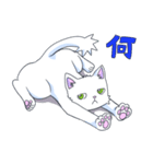 猫のストン（個別スタンプ：23）