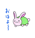 うさ亀ちゃん（個別スタンプ：1）
