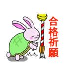 うさ亀ちゃん（個別スタンプ：11）