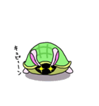 うさ亀ちゃん（個別スタンプ：23）