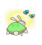 うさ亀ちゃん（個別スタンプ：24）