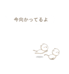 文字打ちなしで！まめねこ日本語編 ver.1（個別スタンプ：31）