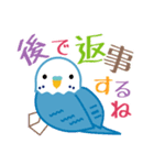 おしゃべりインコちゃんズの社交上手（個別スタンプ：25）