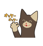 オールねこ（個別スタンプ：3）